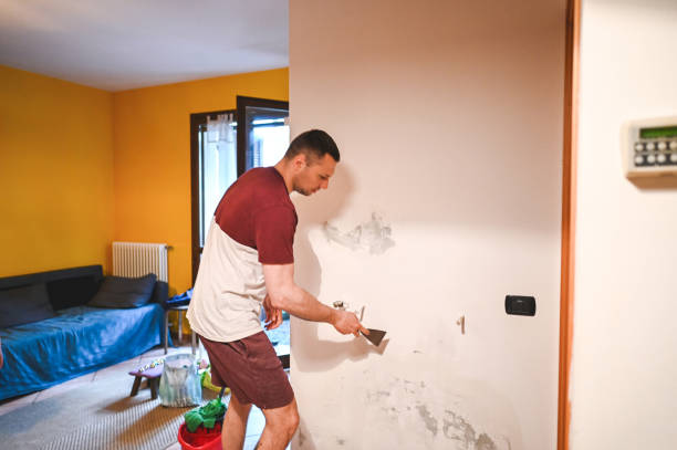 Best Emergency Mold Remediation in Little Elm, TX